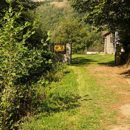 Вілла Casa Valea Prejbei Rau Sadului Екстер'єр фото