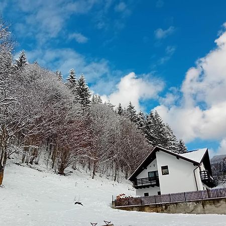 Вілла Casa Valea Prejbei Rau Sadului Екстер'єр фото
