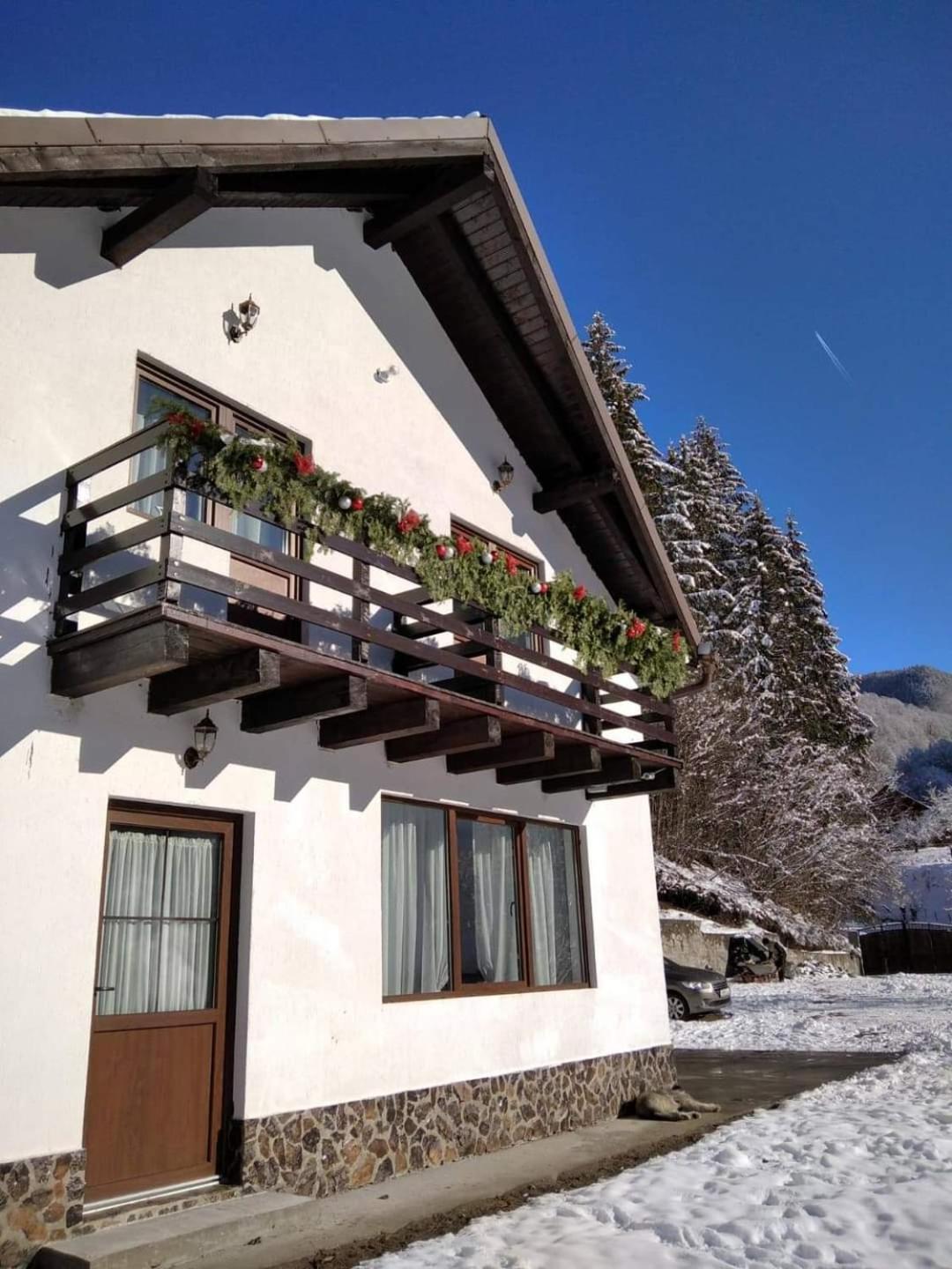 Вілла Casa Valea Prejbei Rau Sadului Екстер'єр фото