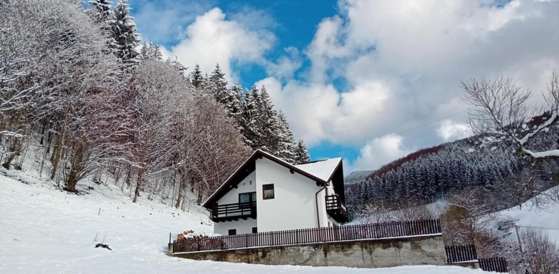 Вілла Casa Valea Prejbei Rau Sadului Екстер'єр фото