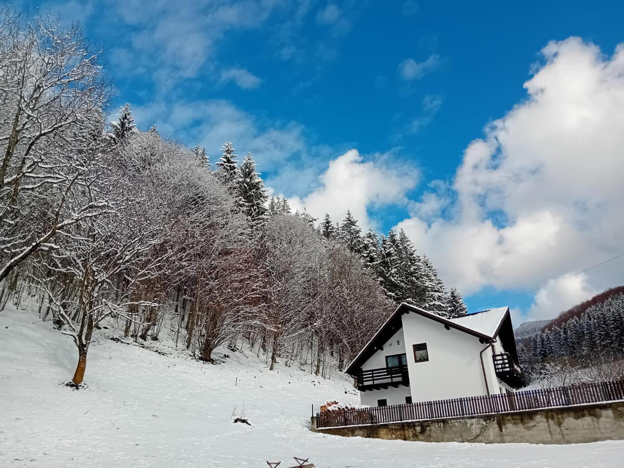 Вілла Casa Valea Prejbei Rau Sadului Екстер'єр фото